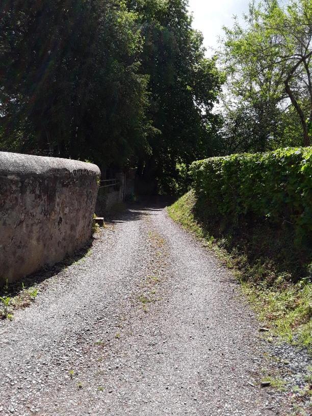 La Petite Bardouillere Villa Courdemanche  Dış mekan fotoğraf
