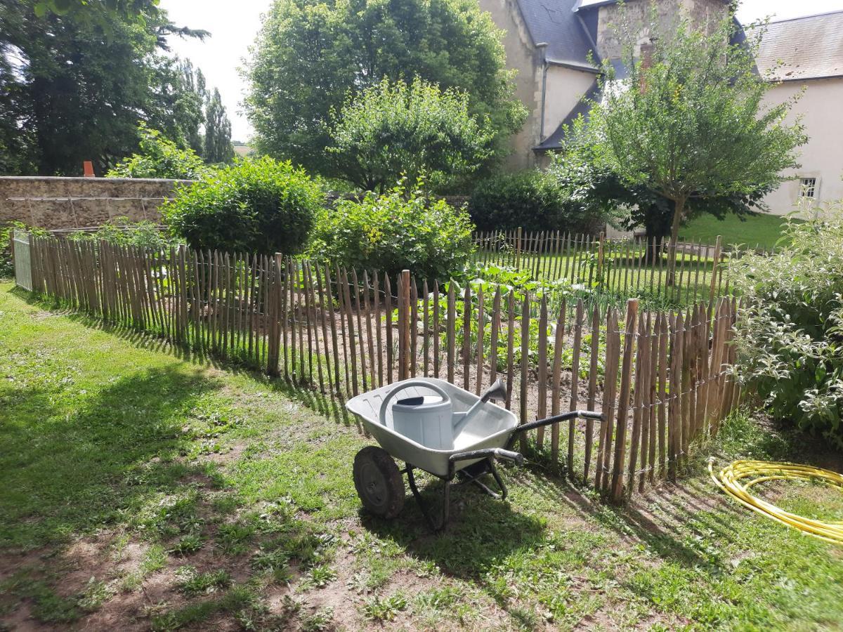 La Petite Bardouillere Villa Courdemanche  Dış mekan fotoğraf
